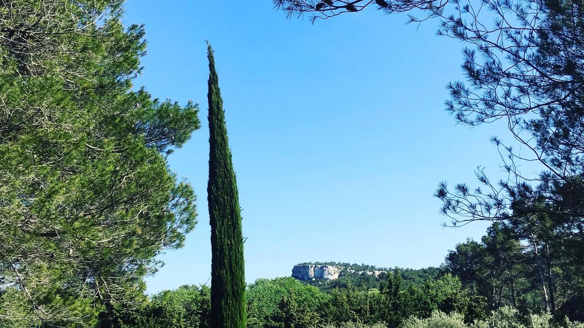 Holiday home Cabane De La Leque Fontvieille
