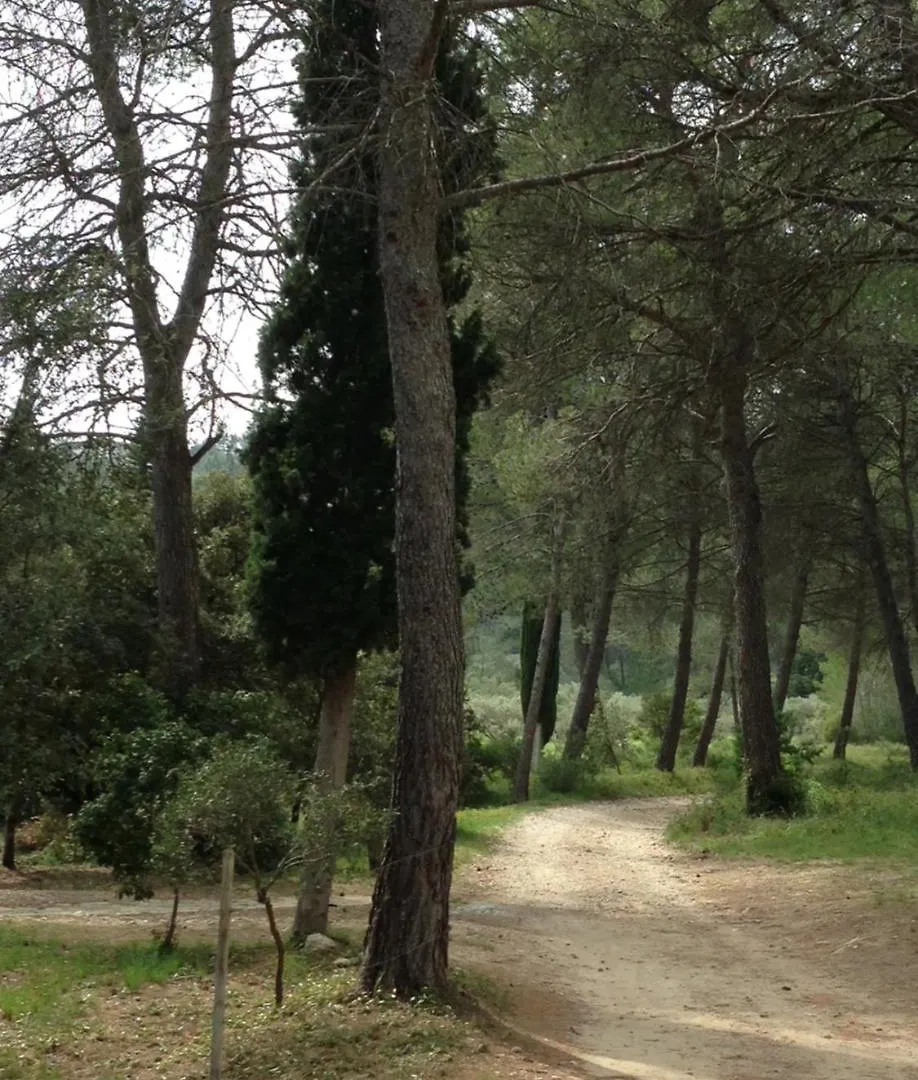 Cabane De La Leque Fontvieille
