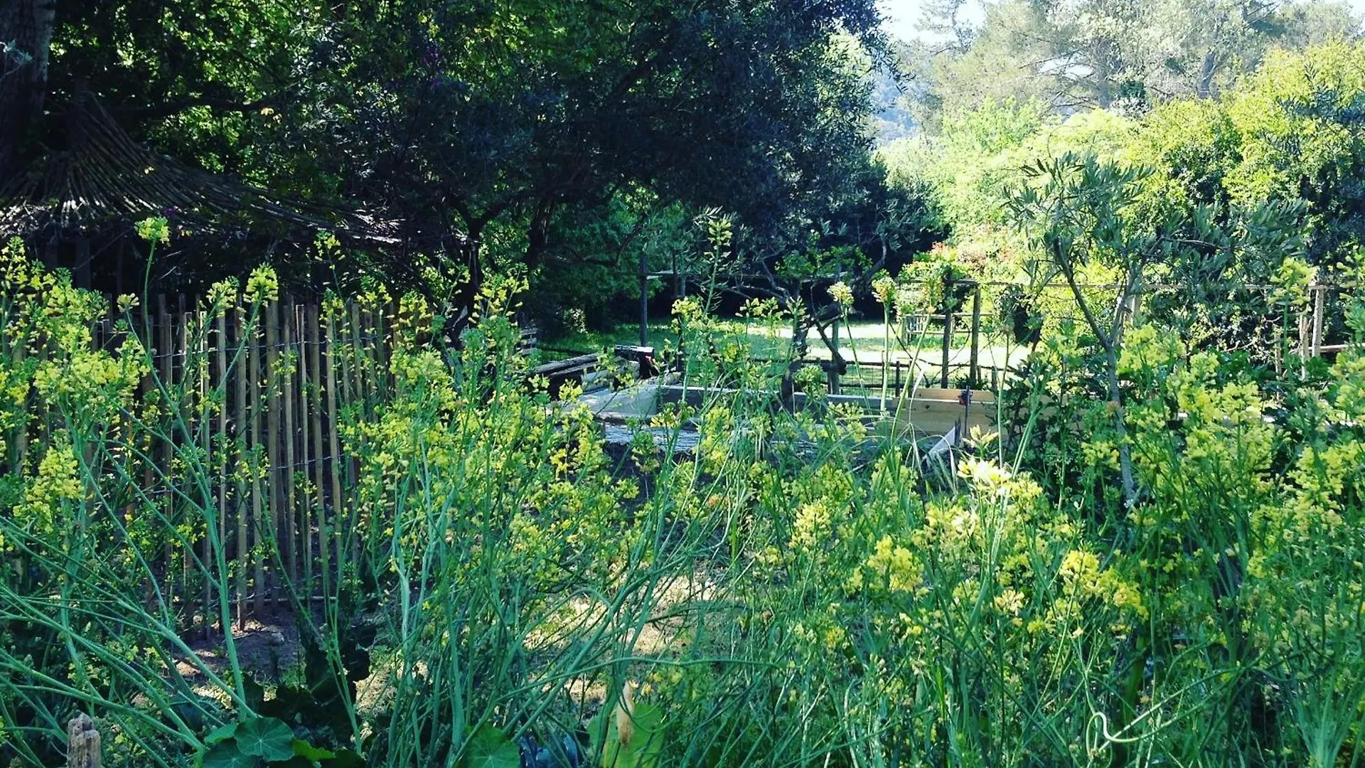 Cabane De La Leque Fontvieille França