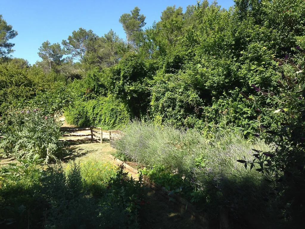 Cabane De La Leque Fontvieille Casa de Férias