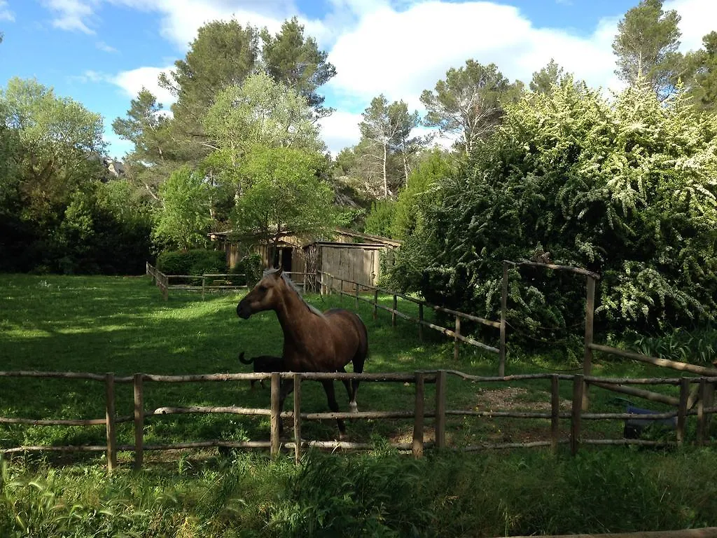 Cabane De La Leque Fontvieille